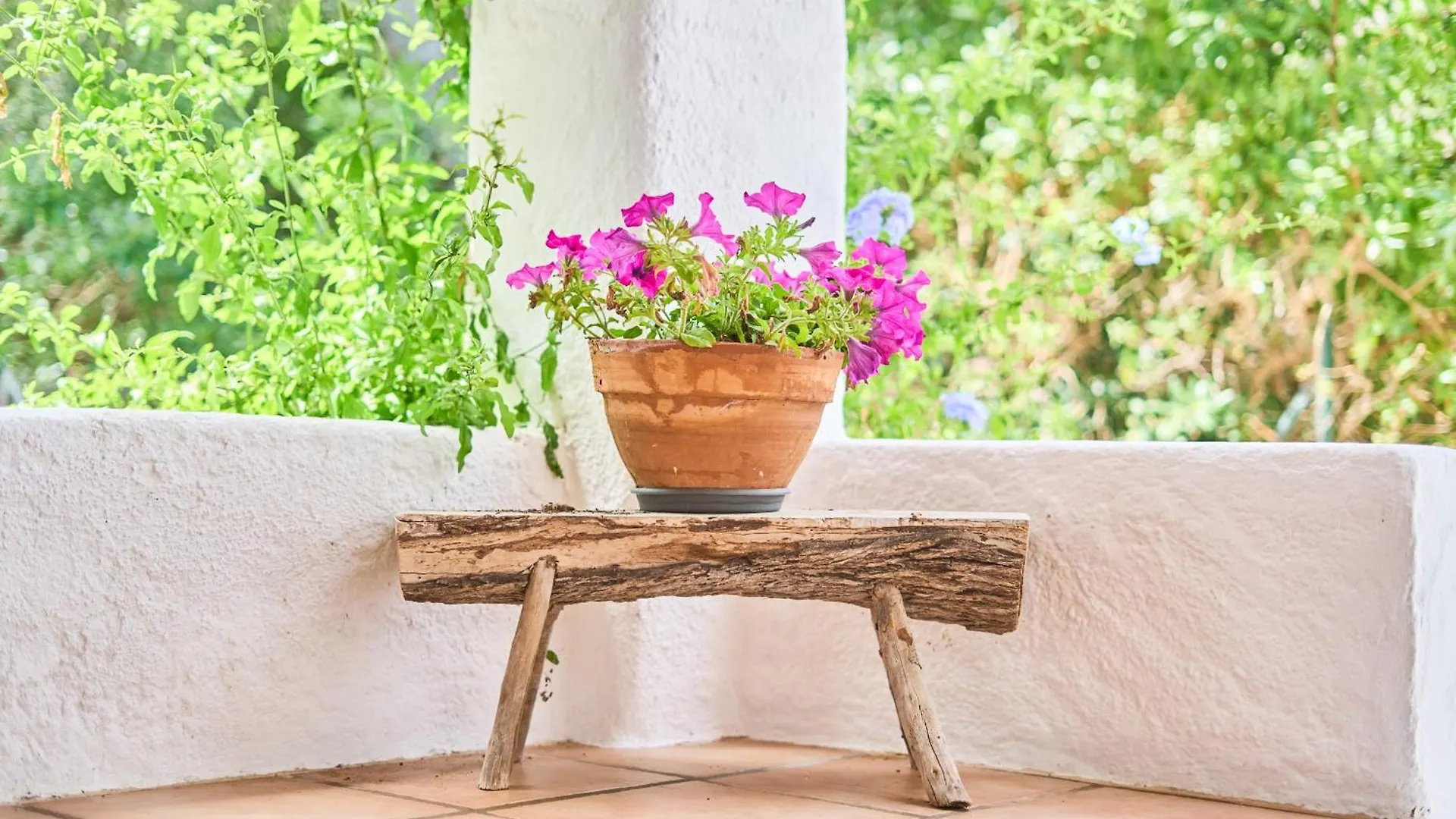 Holiday home Villa Ravell Palma de Mallorca